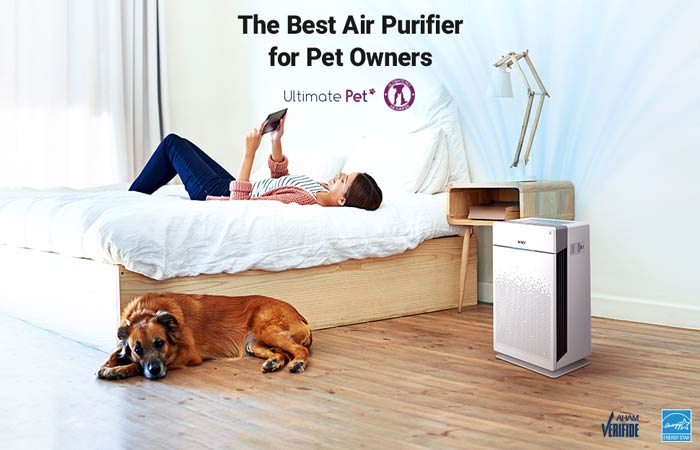 Best air purifier