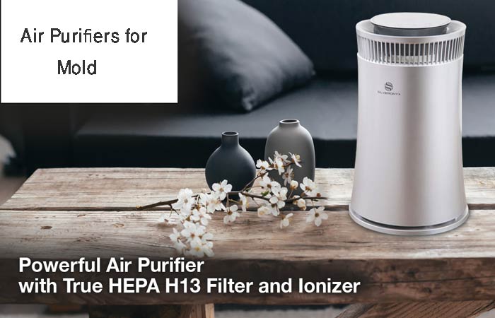 Best Air Purifier For Mold